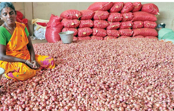 அதிர்ச்சி... எகிறப் போகுது சின்ன வெங்காயம் விலை... மத்திய அரசுக்கு விவசாயிக்கள் கோரிக்கை!