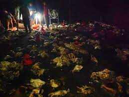 ஈரோட்டில் சோகம்... தீயில் கருகி 2,500 கோழிகள் உயிரிழப்பு!