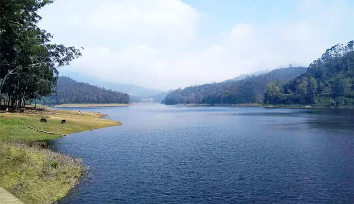 கொடைக்கானல் பேரிஜம் ஏரி
