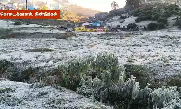 கொடைக்கானலில் மீண்டும் உறைபனி... சுற்றுலா பயணிகள் உற்சாகம்!