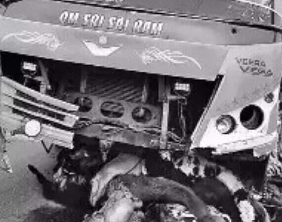 தறிகெட்டு ஓடிய சொகுசு பேருந்து... ஆட்டு மந்தைக்குள் பாய்ந்ததில் 146 ஆடுகள் பலியான சோகம்!