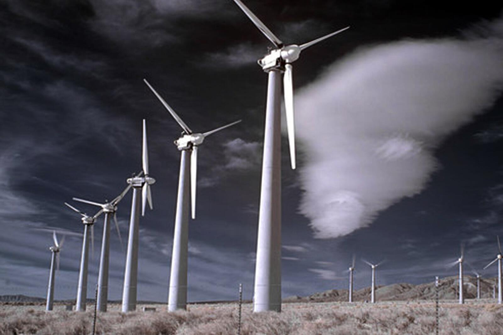 சபாஷ்... ஒரே வருஷத்துல 309% வருமானம் தந்த மல்டிபேக்கர் ஸ்டாக்!