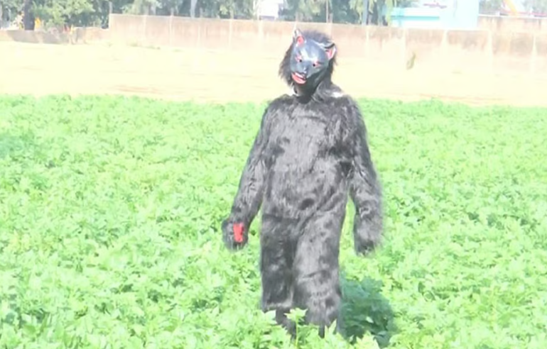 வினோதம்... வெயிலில் கரடி வேடம் போட்டு நிற்கும் விவசாயிகள்!