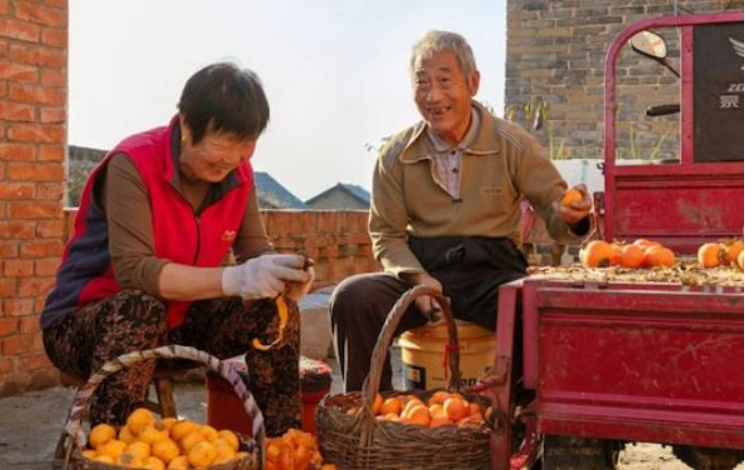 ரூ3.80 கோடி வீட்டை பழக்கடை வியாபாரிக்கு உயில் எழுதிக் கொடுத்த முதியவர்...!