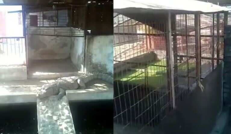 ஐ.டி ரெய்டில் சிக்கிய 3 முதலைகள்.. கோடிக்கணக்கில் அமுக்கிய முன்னாள் பாஜக எம்.எல்.ஏ.. ஷாக்கான அதிகாரிகள்!