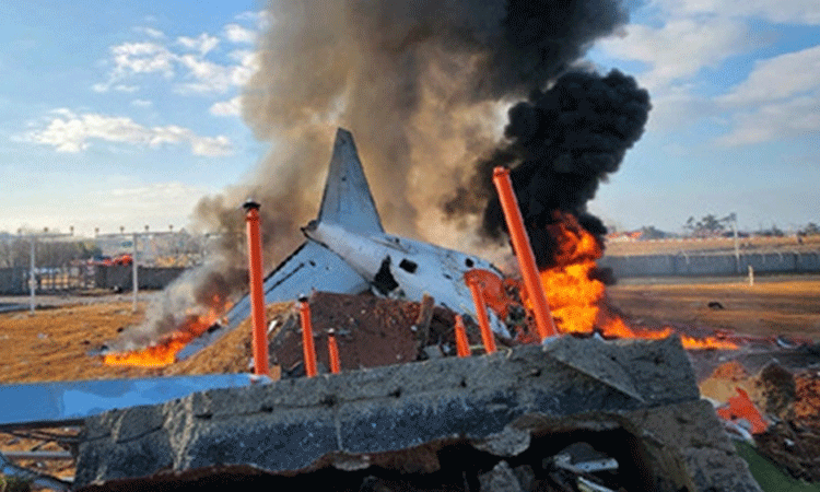 நெஞ்சை உறைய வைக்கும் வீடியோ... தென்கொரிய விமான விபத்தில் 179 பேர் பலி..!