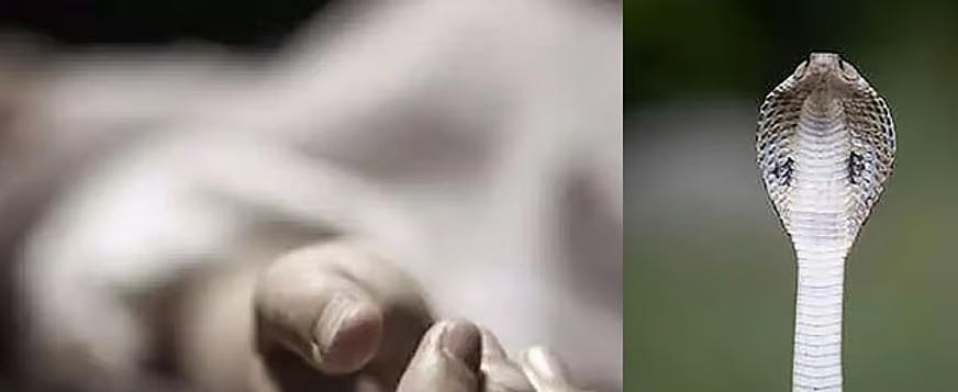 விடுதியில் சோகம்... பாம்பு கடித்ததில் 3 மாணவிகள் பரிதாபப் பலி !