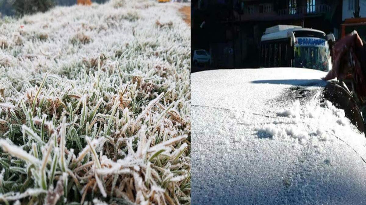 ஊட்டியில் உறைபனி... ஜீரோ டிகிரியில் வெண்மையாக மாறிய சாலைகள்!