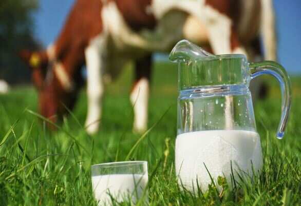 பால் குடிப்பது நன்மையா? தீமையா?.. வெளிவந்த பகீர் உண்மை!