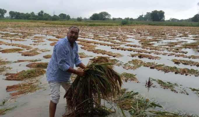 நெல் முளைக்கும் காலத்தில் புயல்... கடல் போல மாறிய வயல்வெளிகள்... விவசாயிகள் வேதனை...!!