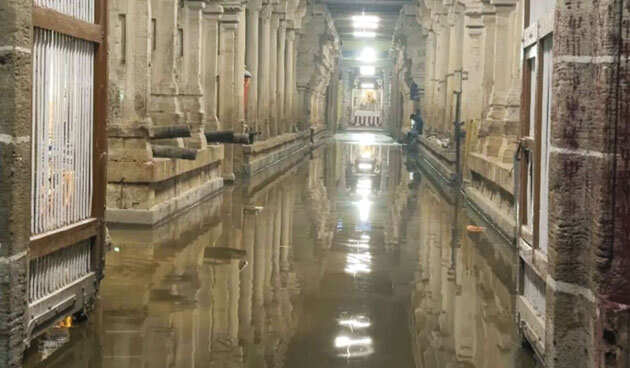 தூத்துக்குடியில் கனமழை... திருச்செந்தூர் சிவன் கோவிலுக்குள் தண்ணீர் புகுந்தது!