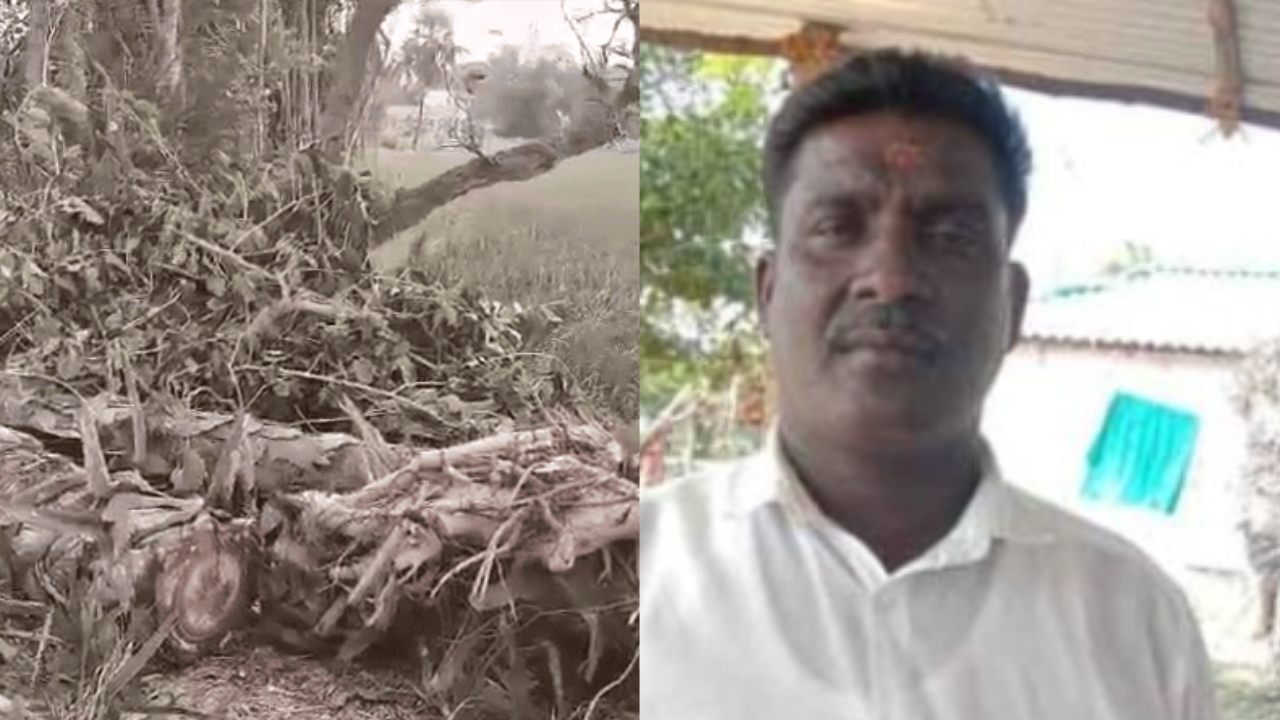 பனை மரம் வெட்டியவர் மீது பாய்ந்தது FIR .. தீவிர விசாரணையில் காவல்துறை..!