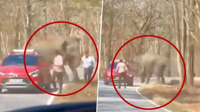 பகீர் வீடியோ.. ஒரே மிதி.. ஆக்ரோஷமான காட்டு யானை.. நூலிழையில் உயிர் தப்பிய சுற்றுலா பயணி..!