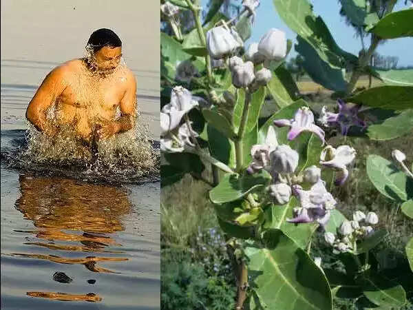 ரத சப்தமி