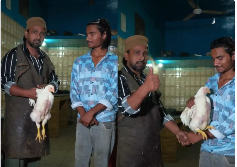 முழு பணம் இல்லாததால் மாதத் தவணை முறையில் கோழி இறைச்சி விற்பனை... வைரல் வீடியோ !