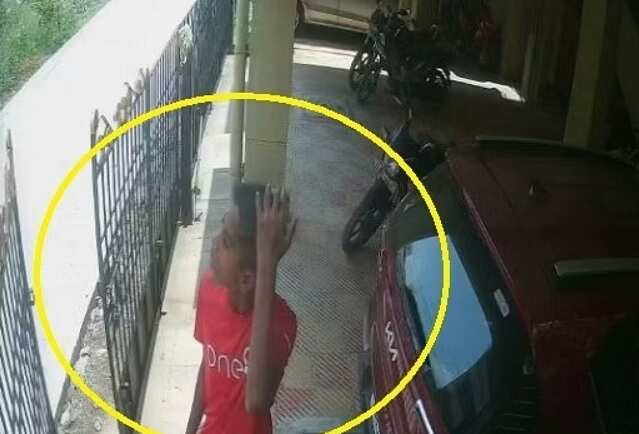 அபார்ட்மெண்ட் மாடிகளில் குடிநீர் குழாய்களைத் திருடி செல்லும் கொள்ளையன்... வெளியான சிசிடிவி காட்சிகள்!