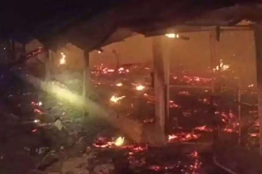 2500 கோழிகள் தீயில் கருகின...கோழிப்பண்ணையில் கோர தீவிபத்து!