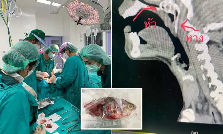 தூண்டில் போட்ட போது தொண்டைக்குள் துள்ளிக் குதித்த மீன்!! மீன் வேட்டை பரிதாபங்கள்!!