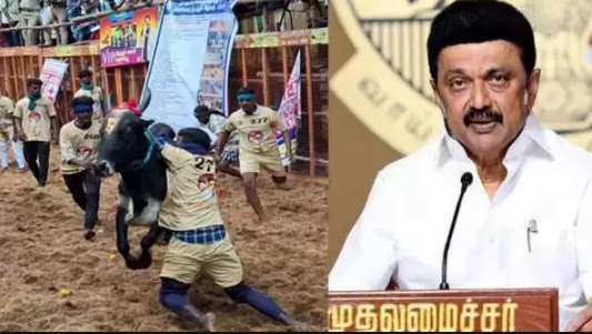 ஜன.3ல் தச்சங்குறிச்சியில் முதல் ஜல்லிக்கட்டு போட்டி... முகூர்த்த கால் நடப்பட்டு பணிகள் தீவிரம்!