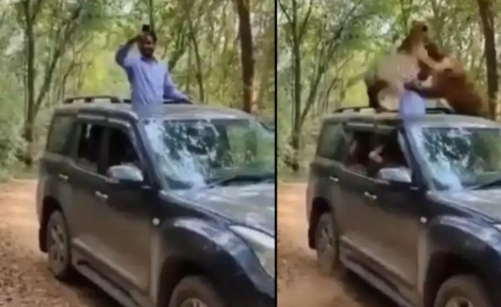 திக், திக் வீடியோ... செல்பி மோகத்தில் விபரீதம்... இருபுறமும் பாய்ந்த சிறுத்தைகள்!