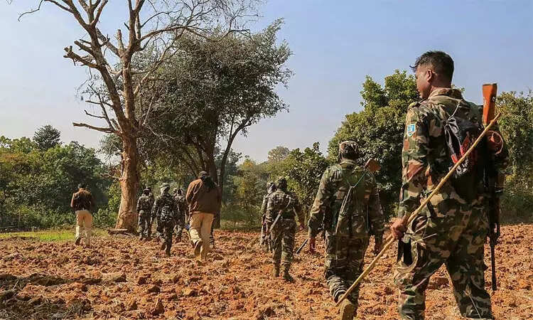 நக்சலைட்டுகள்