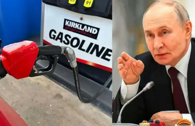 இந்தியாவுக்கு அடுத்த அதிர்ச்சி... பெட்ரோல் ஏற்றுமதிக்கு தடை விதித்து ரஷ்யா உத்தரவு!