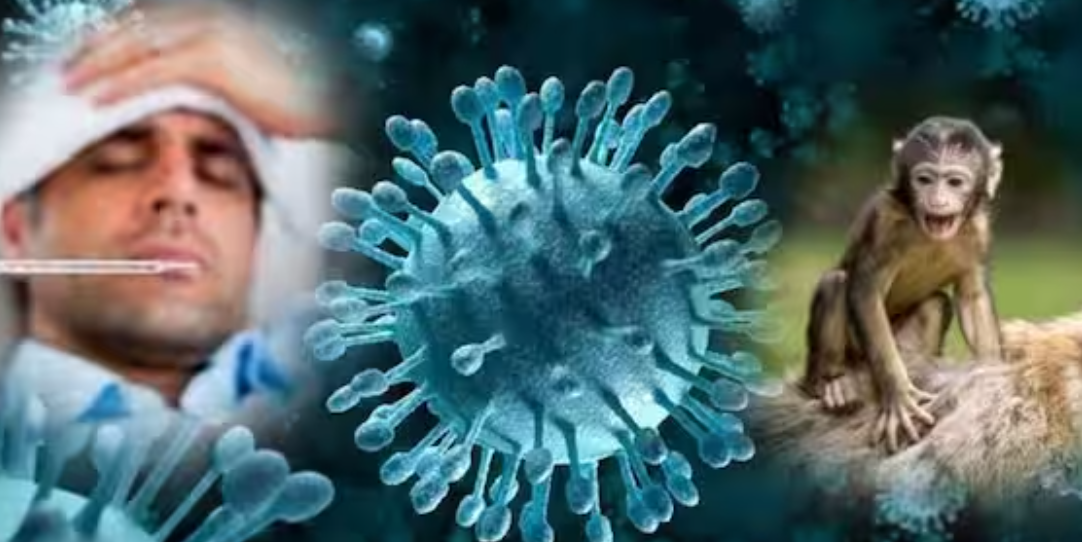 பகீர்.. மீண்டும் பரவ தொடங்கிய குரங்கு காய்ச்சல்.. 18 பேருக்கு தொற்று பாதிப்பு!