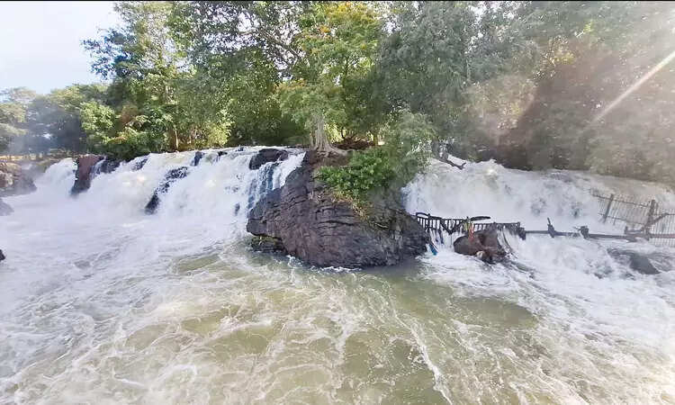 ஒகேனக்கல் காவிரி ஆற்றில் நீர்வரத்து அதிகரிப்பு... குளிக்க தடை!