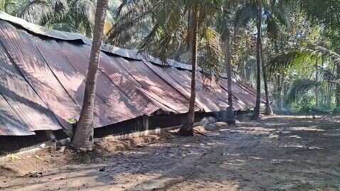 பகீர்.. கோழிப்பண்ணையில் திடீரென ஏற்பட்ட பயங்கர விபத்து.. தீயில் கருகி பலியான 3,500 கோழிகள்!