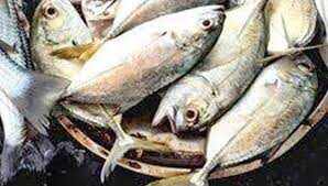 தூத்துக்குடி, குமரியில் மீன்கள் விலை உயா்வால் மீனவா்கள் மகிழ்ச்சி!