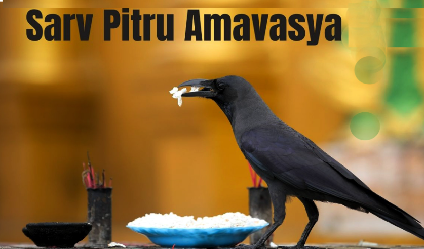 தை அமாவாசை தர்ப்பணம் கொடுக்க உகந்த நேரம்... இப்பவே குறிச்சிக்கோங்க....!