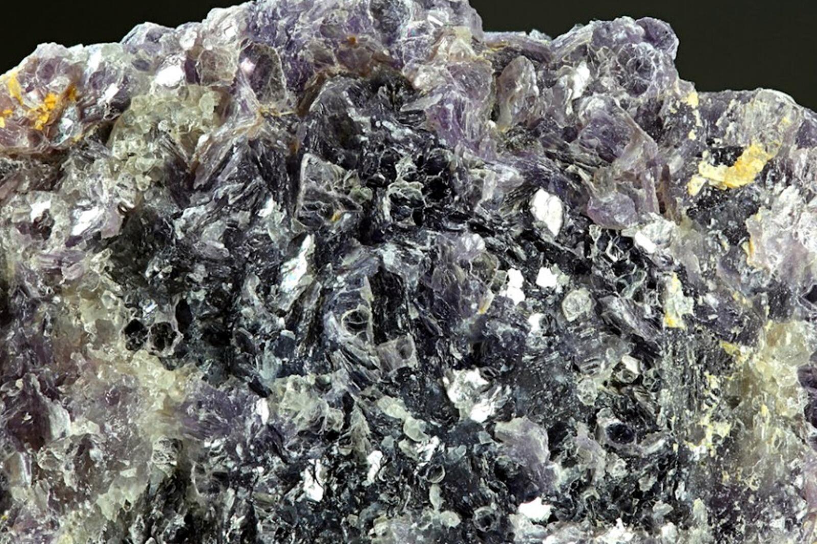 உலக நாடுகளை ஆட்டி படைக்குமா சீனா? ஆஸ்திரேலியா, தென் அமெரிக்காவுடன் செம டீல்... வாய் பிளக்கும் வர்த்தகம்!