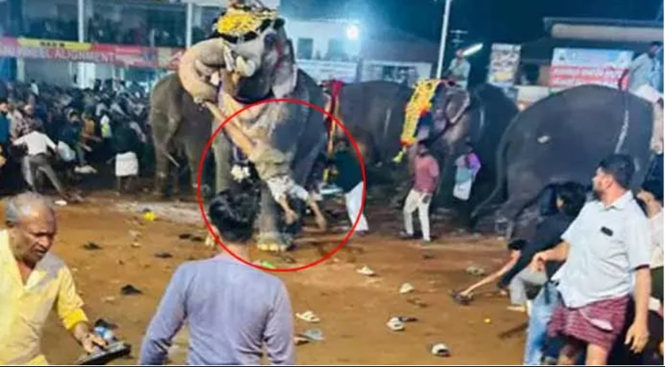 அதிர்ச்சி வீடியோ... கோவில் திருவிழாவில் திடீரென மதம் பிடித்த யானை... 17 பேர் படுகாயம்.. ஒருவர் கவலைக்கிடம்!!