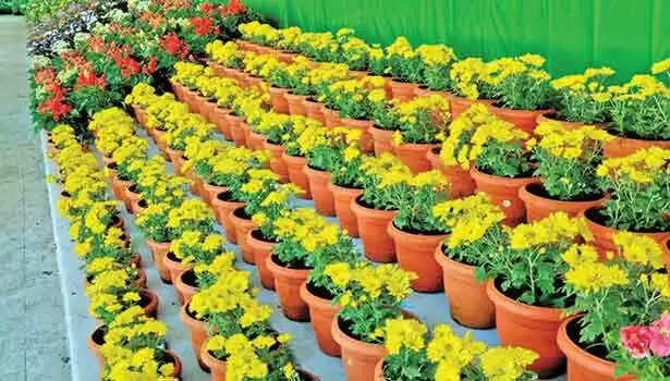 மலர் கண்காட்சி