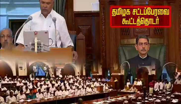 சட்டப்பேரவை