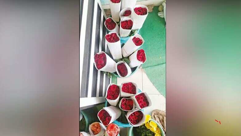 காதலர் தினக் கொண்டாட்டம்: கிடுகிடுவென உயர்ந்த ரோஜா விலை - 'ஸ்டெம்பு ரோஸ்' விற்பனை அமோகம்!