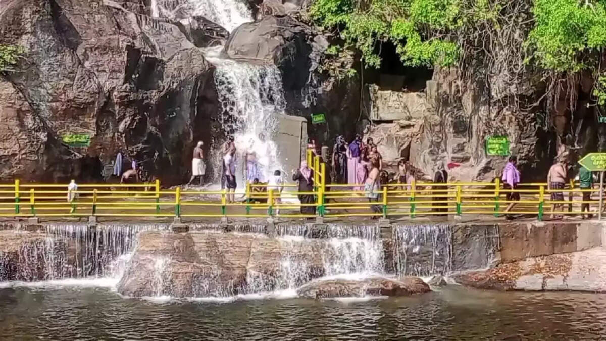 மணிமுத்தாறு அருவி