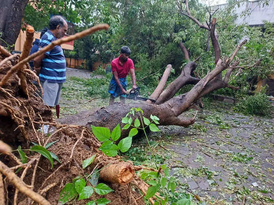 மின்சாரம் தாக்கி 4 பேர் பலி!! வேருடன் சாய்ந்த 400 மரங்கள்!! மாண்டஸ் கோர தாண்டவம்!!