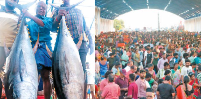 மீன்கள் வரத்து அதிகரிப்பு... காசிமேட்டில் விலை கணிசமாகக் குறைவு!