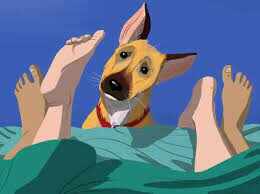 அடக் கொடுமையே!! நாயுடன் பாலியல் உறவு கொண்ட இளைஞர்!!