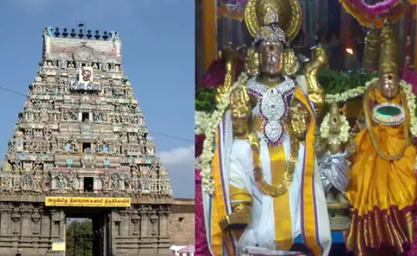 பிரபல கோவிலில் கெட்டுப்போன புளியோதரை விற்பனை... பக்தர்கள் அதிர்ச்சி!