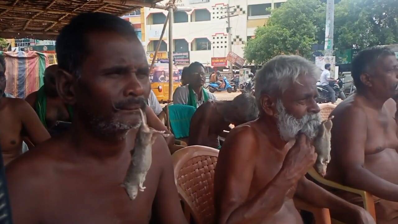 விவசாயிகள் எலியை வாயால் கடித்து நூதன போராட்டம்!!