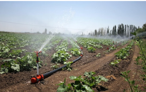 சொட்டு நீர் பாசனத்திற்கு 100% மானியம்... மத்திய அரசு அதிரடி அறிவிப்பு... !