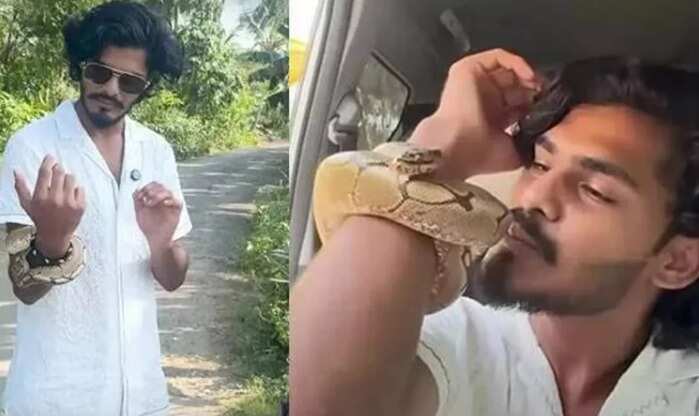 கையில் பாம்புடன் வீடியோ... யூடியூபர் TTF வாசன் வீட்டில் வனத்துறையினர் சோதனை!