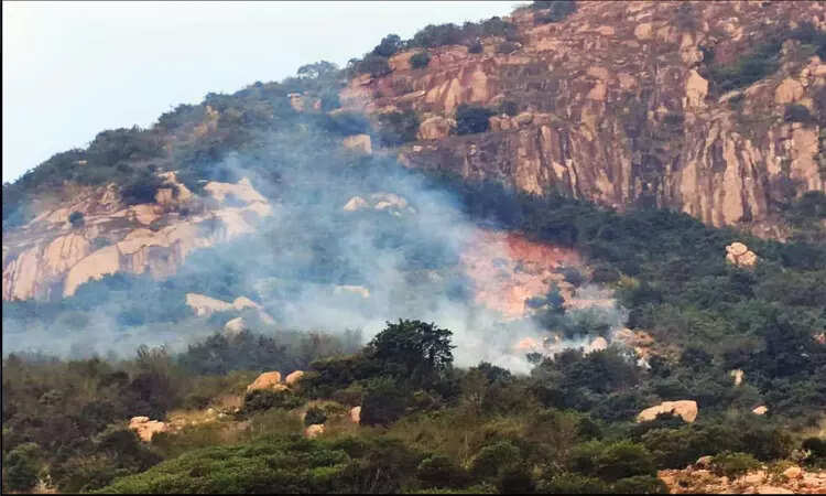 திருவண்ணாமலை மலை உச்சியில் திடீர் தீ விபத்து!