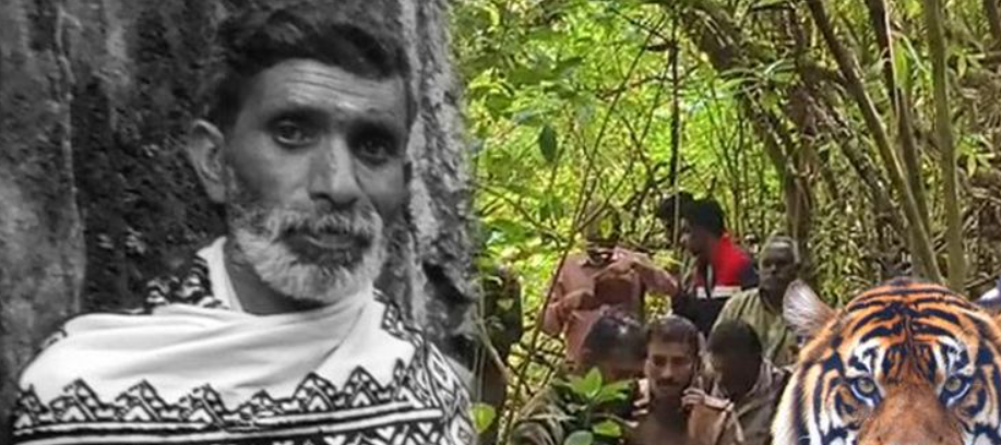 உதகை அருகே புலி தாக்குதல்… பழங்குடியினர் போராட்டம்!