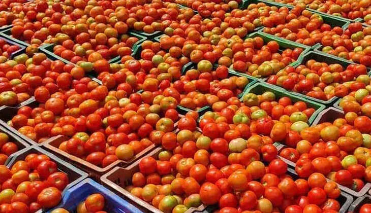 தக்காளி