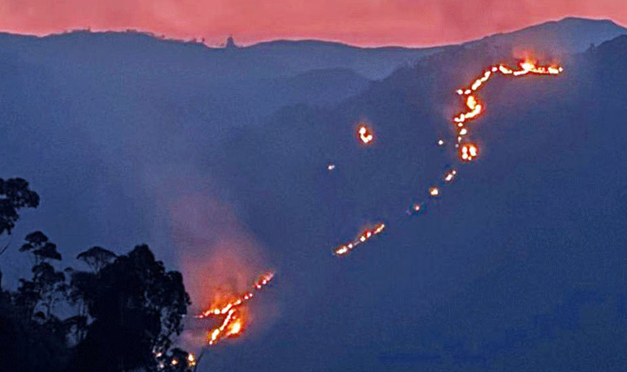 கொடைக்கானலில் பற்றி எரியும் காட்டுத்தீ - பூம்பாறை அருகே பரபரப்பு!