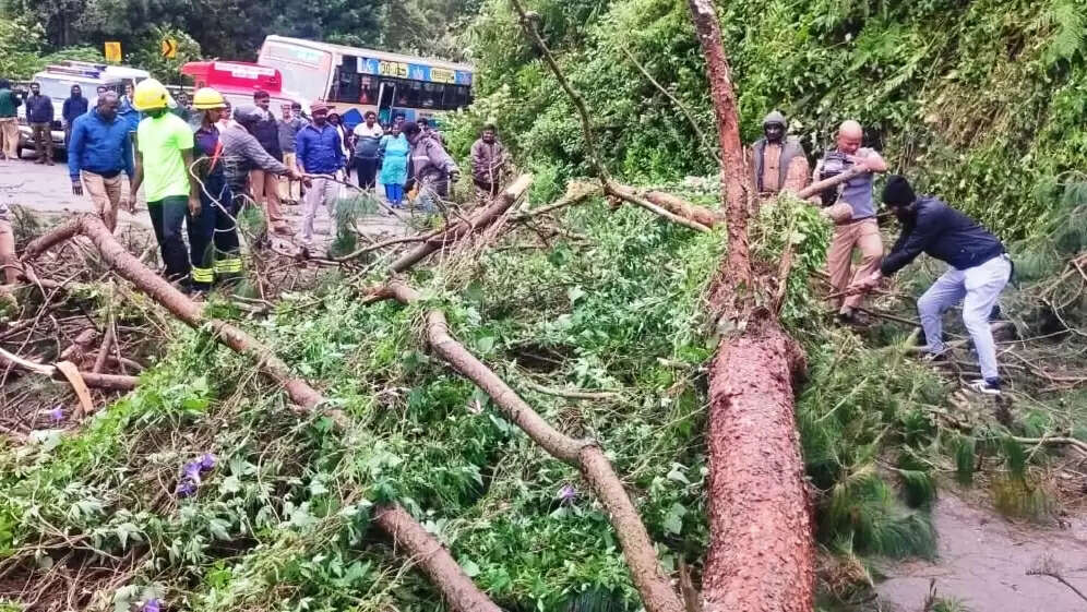 மண்சரிவு