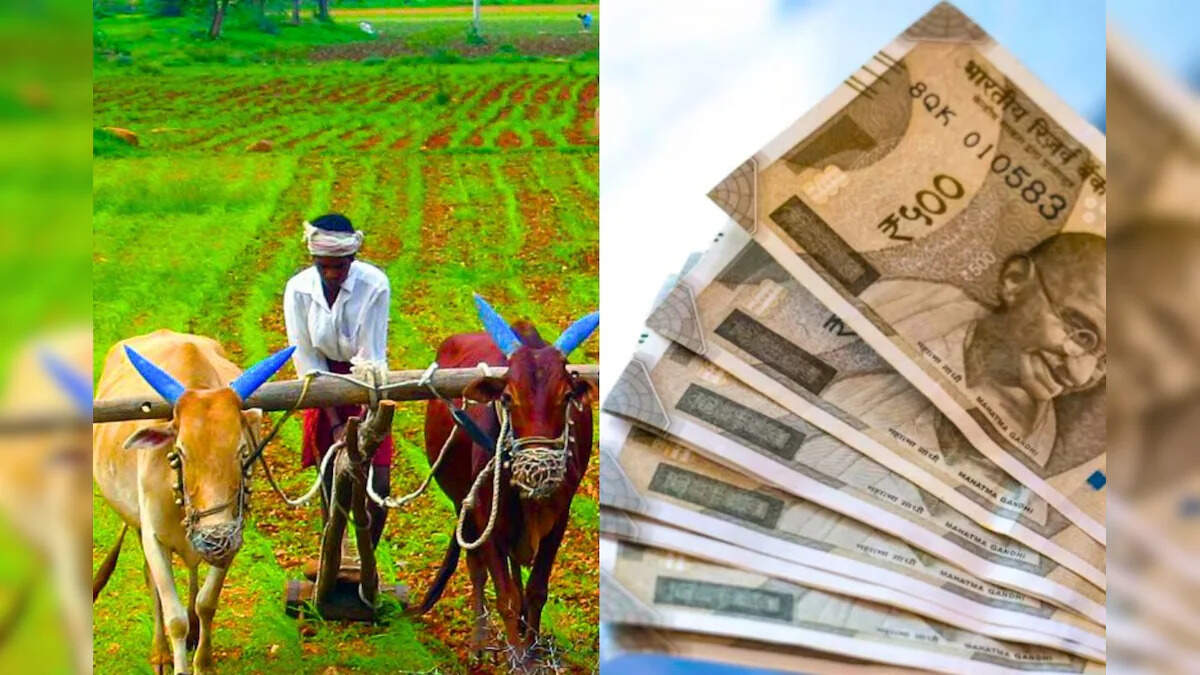 விவசாயி